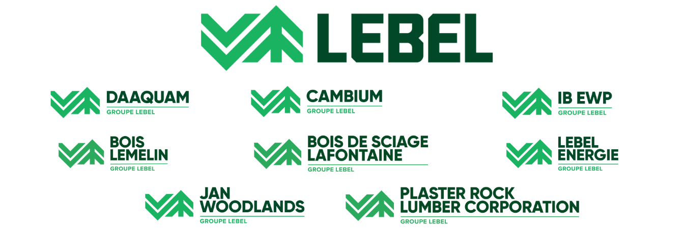 Granules de bois
